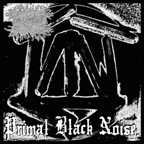 Primal Black Noise